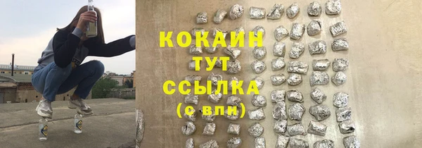 прущие грибы Краснотурьинск
