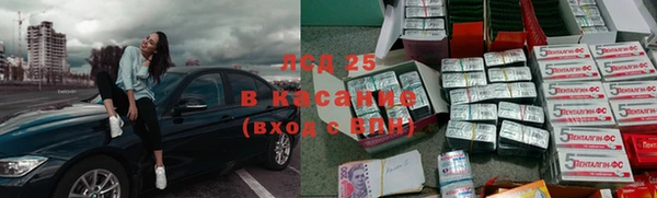 прущие грибы Краснотурьинск