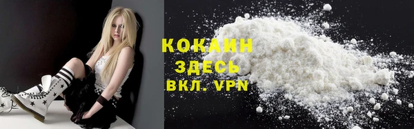 прущие грибы Краснотурьинск