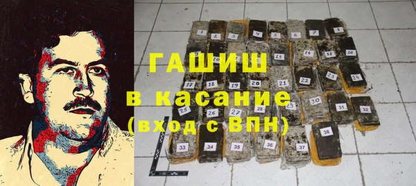 прущие грибы Краснотурьинск