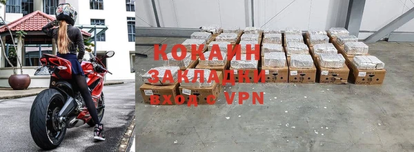 прущие грибы Краснотурьинск