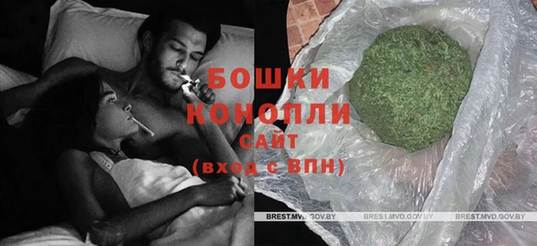 прущие грибы Краснотурьинск