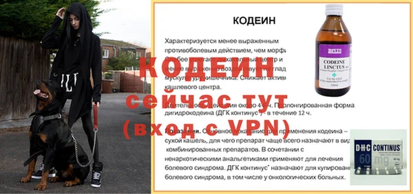 прущие грибы Краснотурьинск