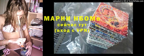 прущие грибы Краснотурьинск