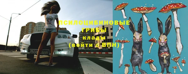 ешки Краснослободск