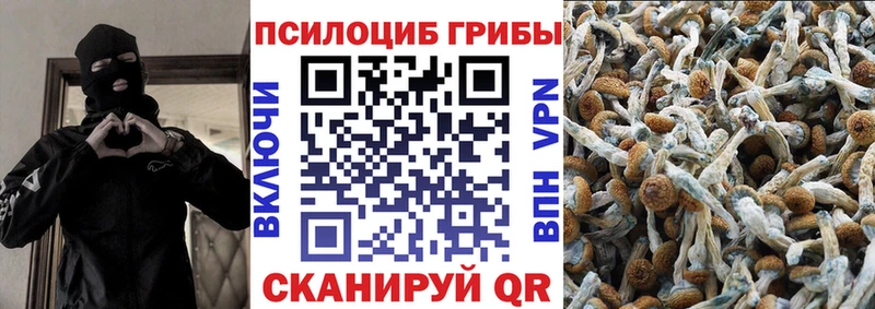 Купить где  Нерюнгри  Галлюциногенные грибы Psilocybine cubensis 